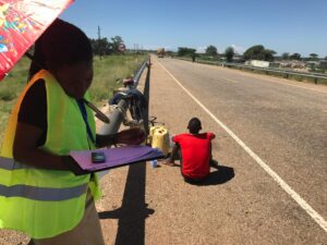TRANSPORT SECTOR STUDIES